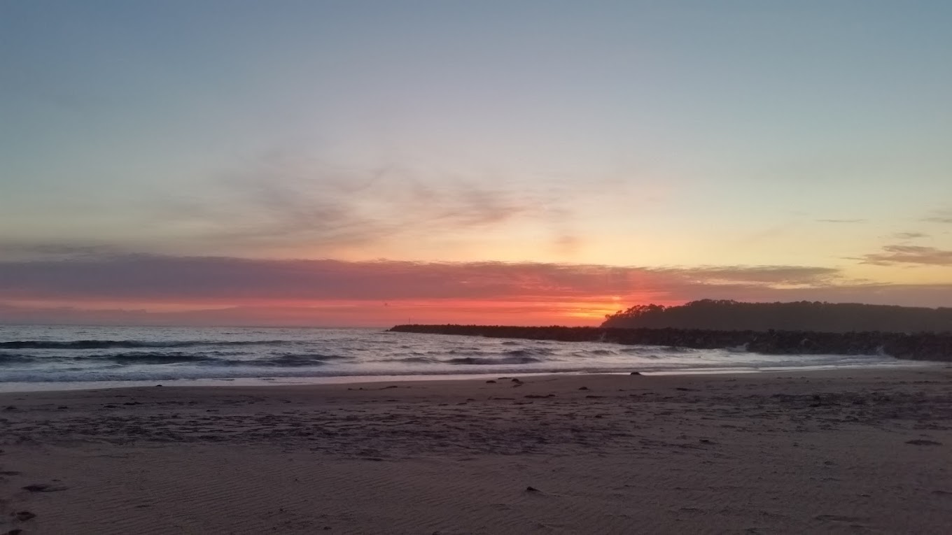 Moruya North Head Campground roof top tent among bushland pink sky over beach