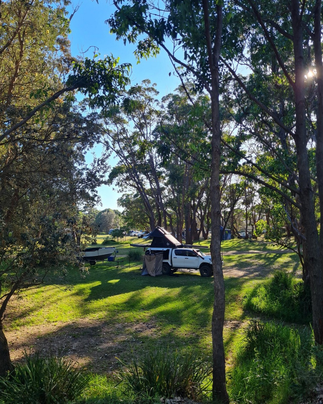 Moruya North Head Campground roof top tent among bushland