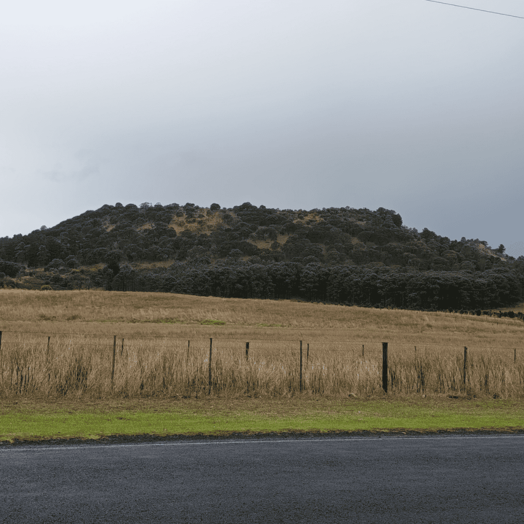 Mt Schank Volcano