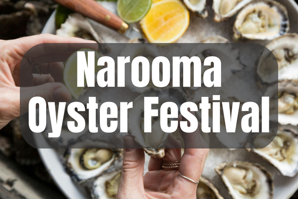 Narooma Oyster Festival Dalmeny Campground Mystery Bay Campground Moruya North Head Campground Kui Parks