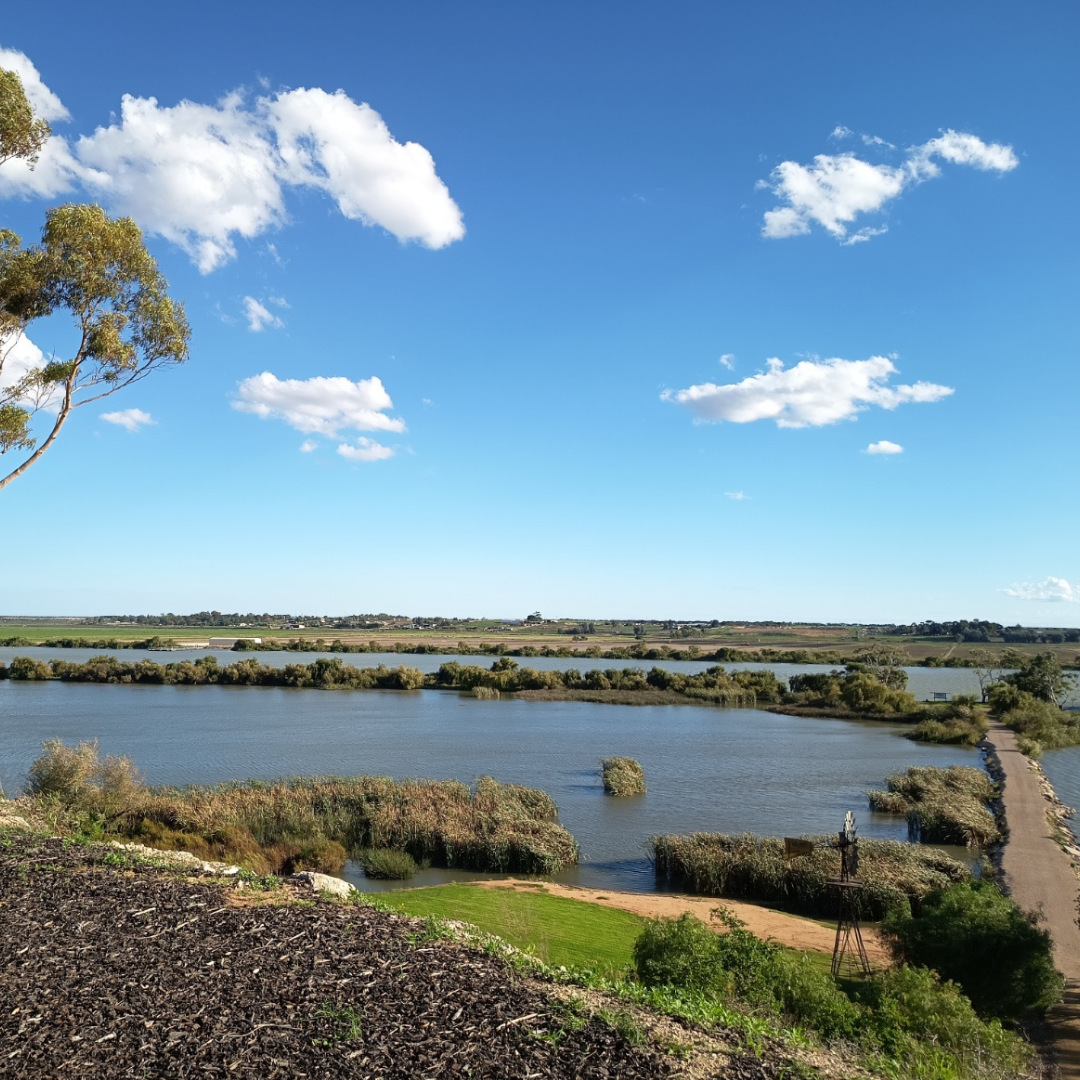 The Murray River with a walkway to an island