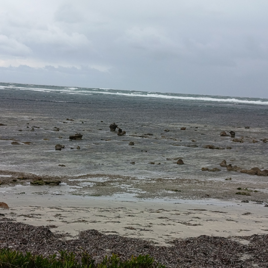The Rocky Foreshore at MacDonnell