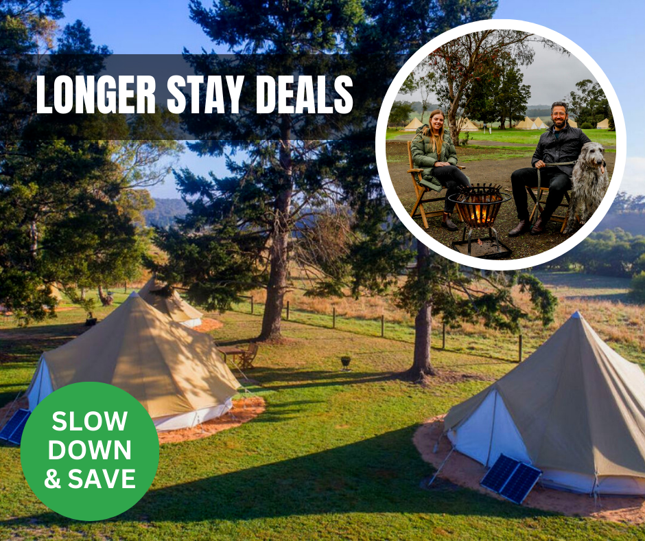 forrest holiday park longer stay deals