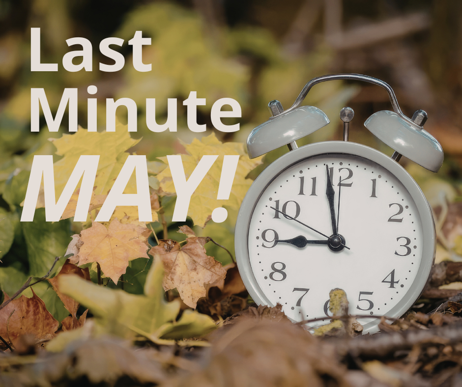 Last minute May! Save 20% on your last minute autumn getaway when you book online and arrive within 7 days!