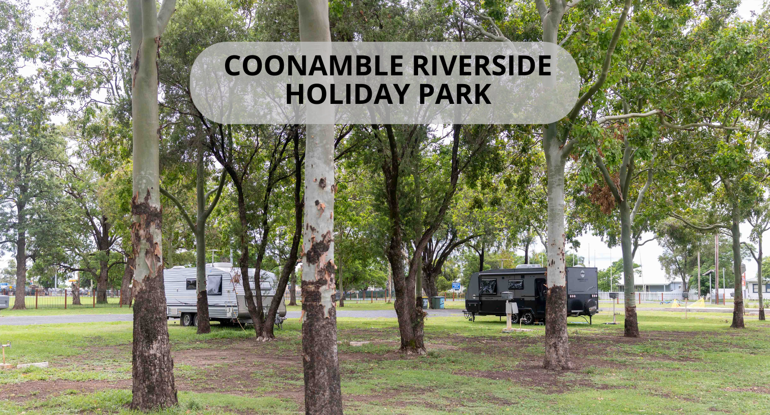 Coonamble Riverside Holiday Park - caravan parked on grassed areas with trees