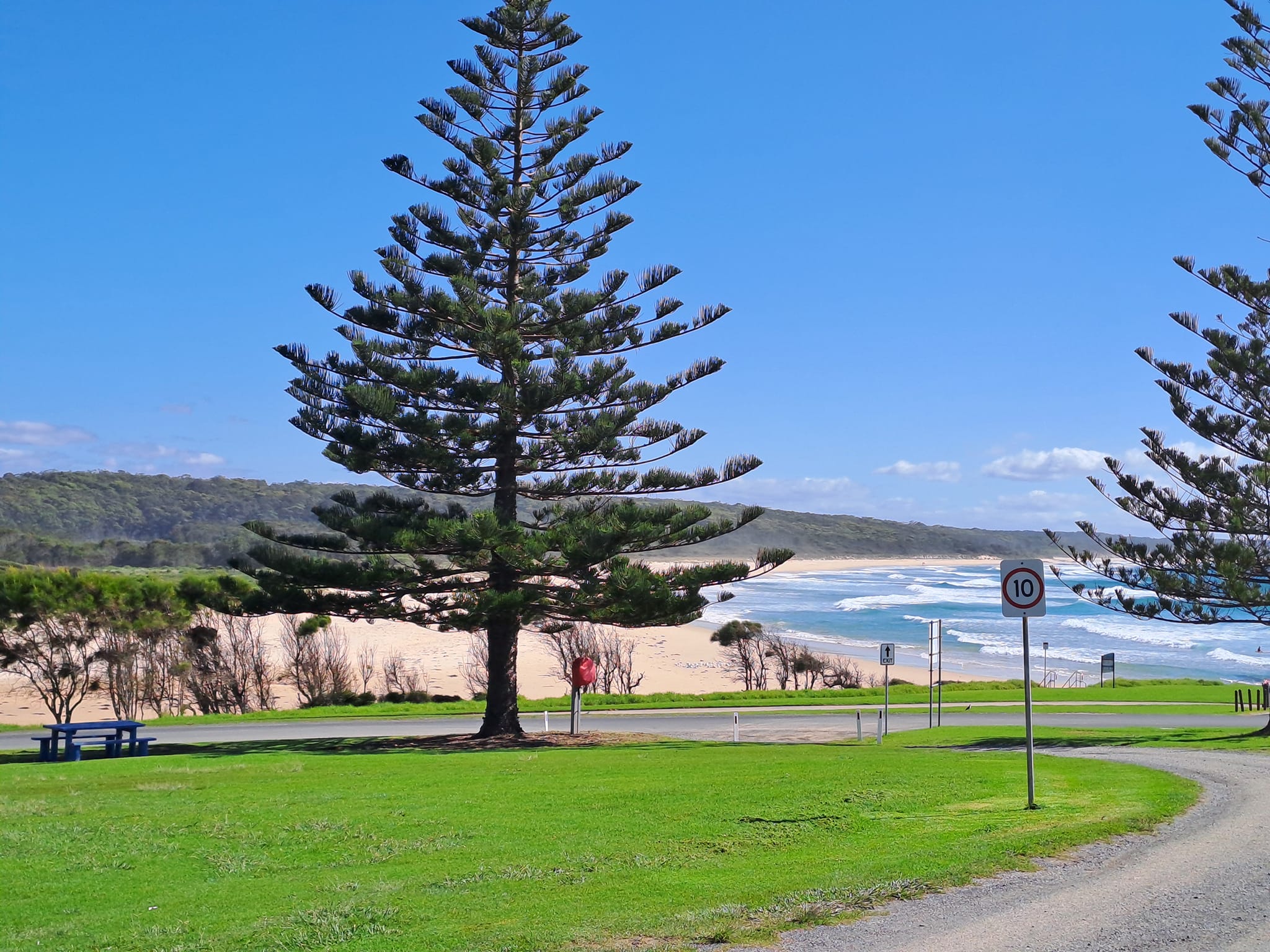 dalmeny campground coastal shot with tree in foreground and road curving around overlooking the beach and sea