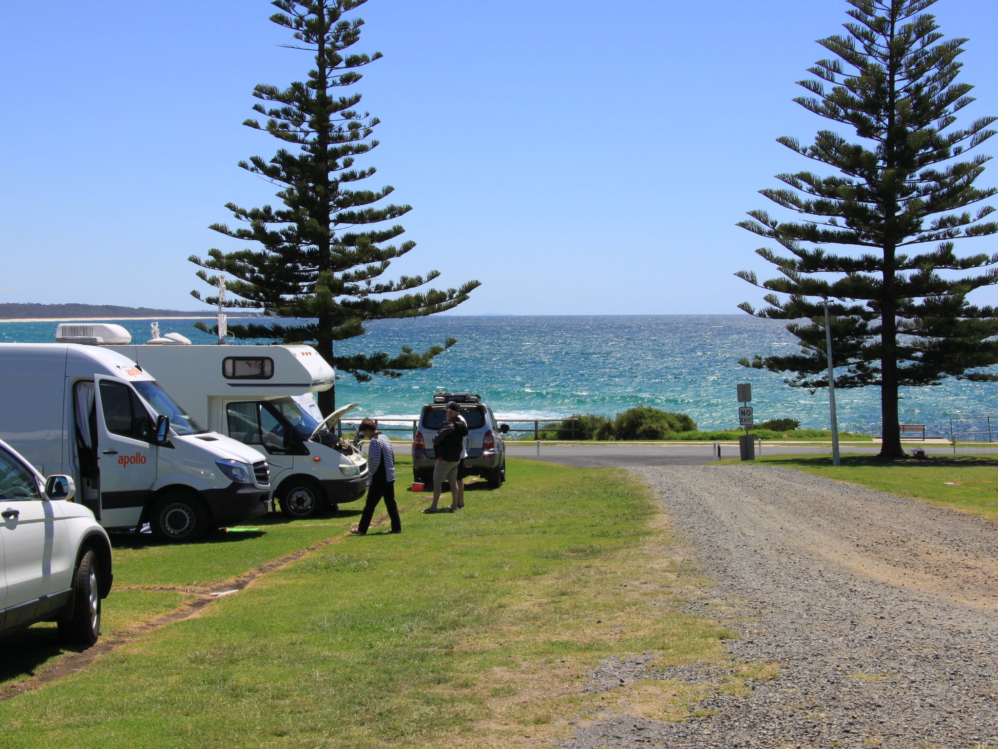 dalmeny campground motor homes parked on top of coastline with two tall pine trees
