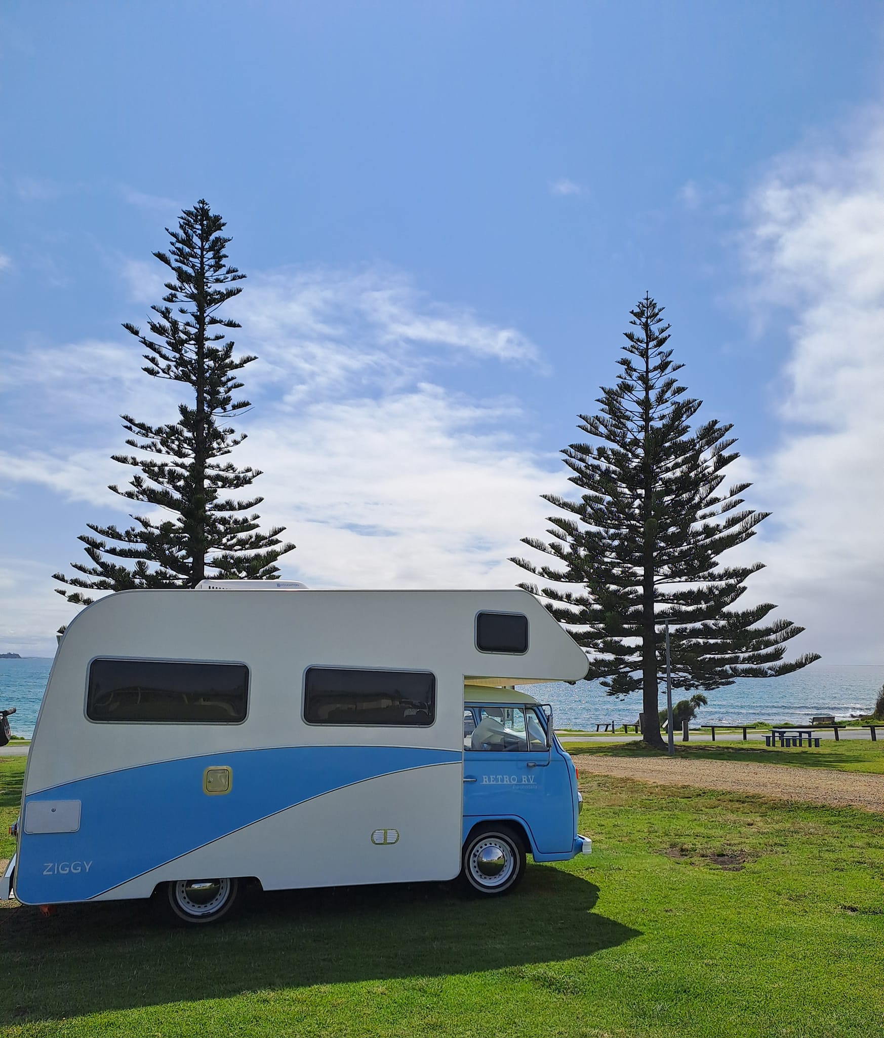 dalmeny campground sunset with orange and pink sky and pine tree
