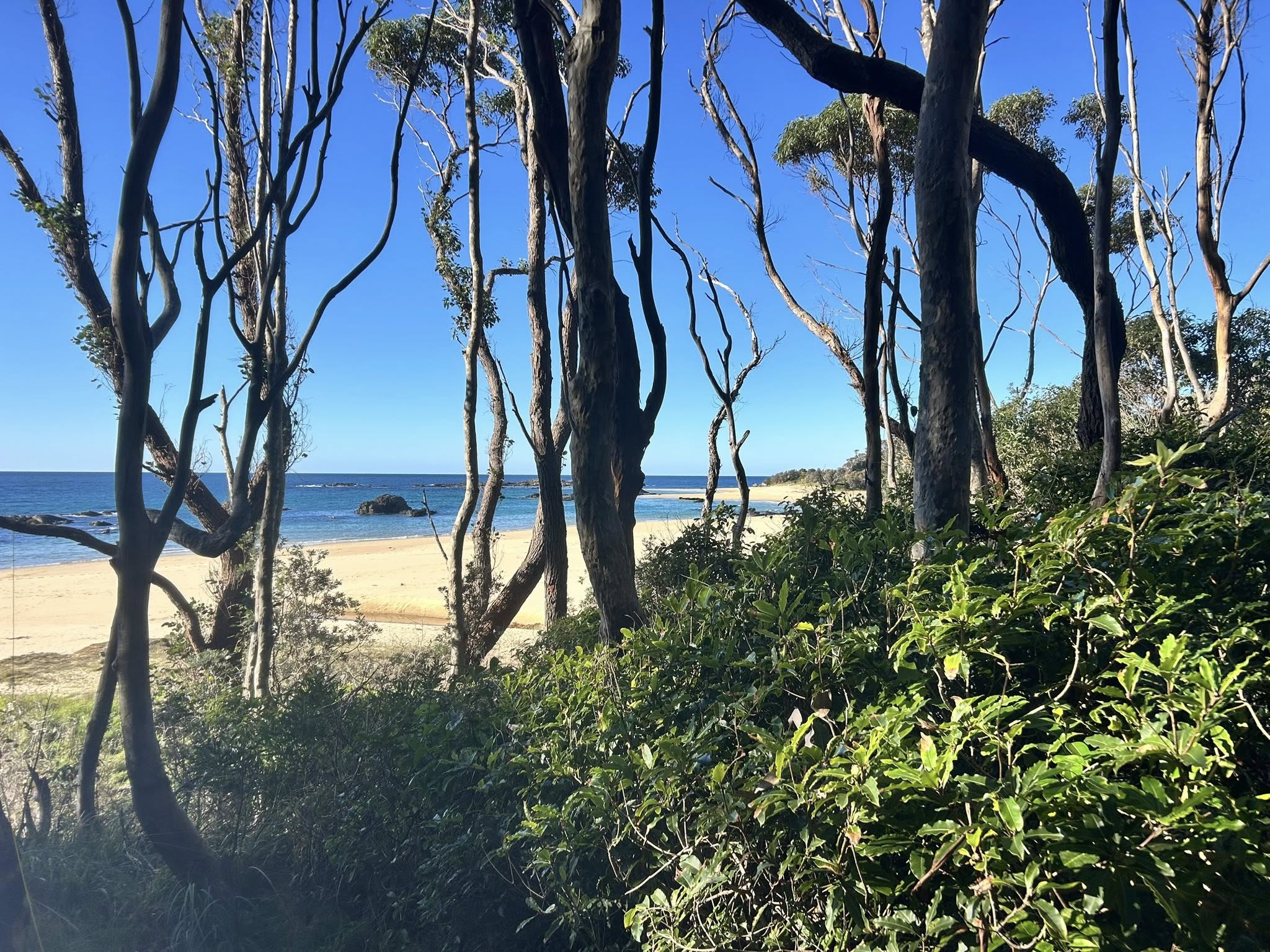 mystery bay campground beach and sea through trees