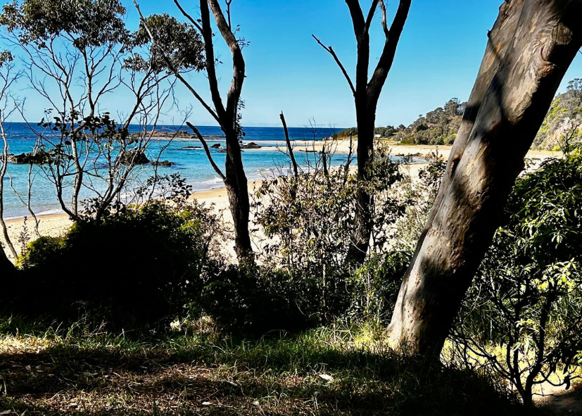 mystery bay campground kui parks trees