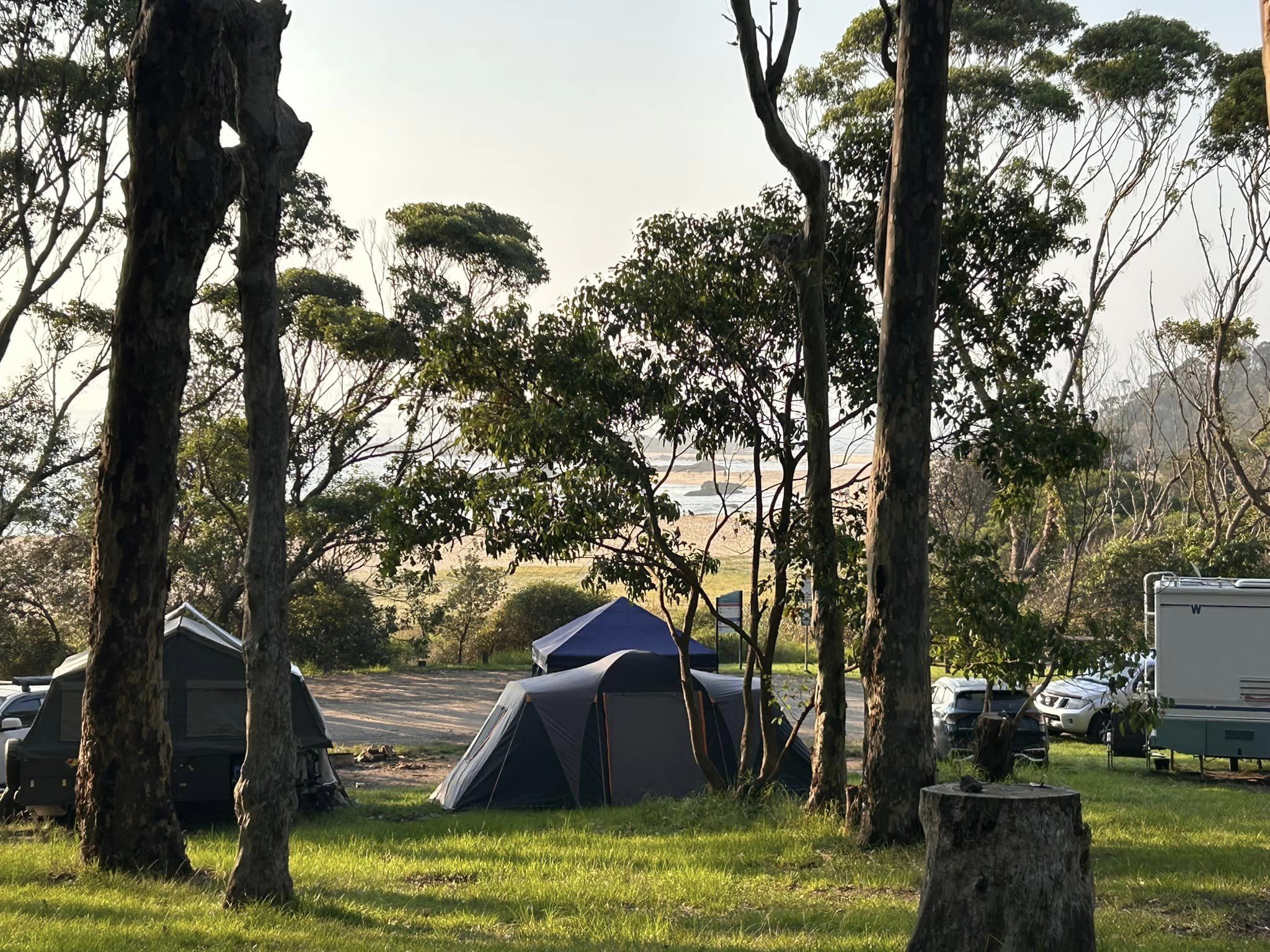 mystery bay campground tents set up in bushland