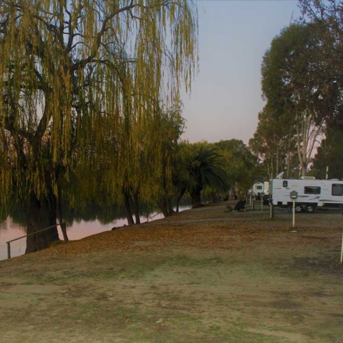 robinvale riverside caravan park caravan sites along river bank