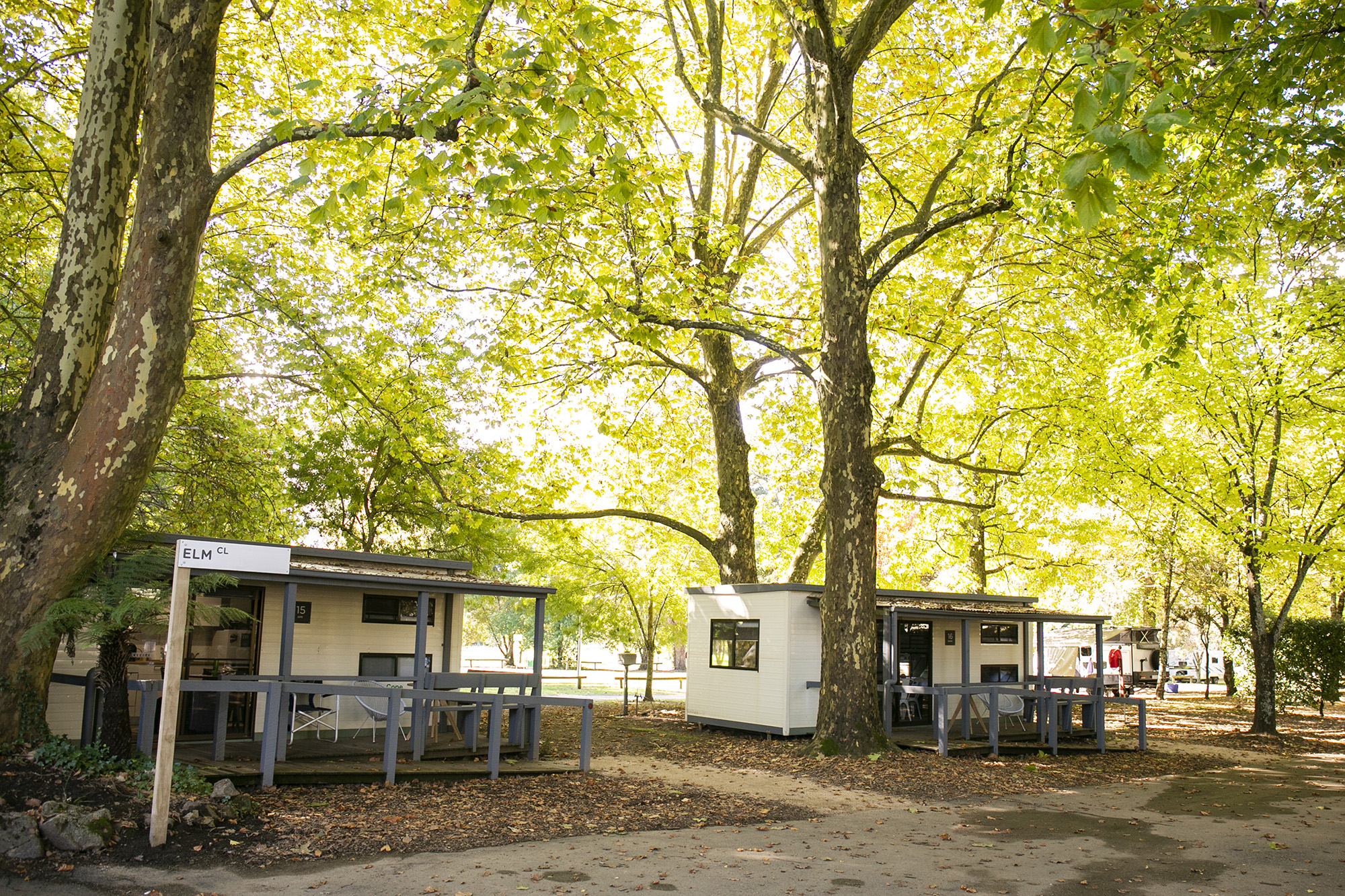 tawonga tourist park cabins with trees and road in front
