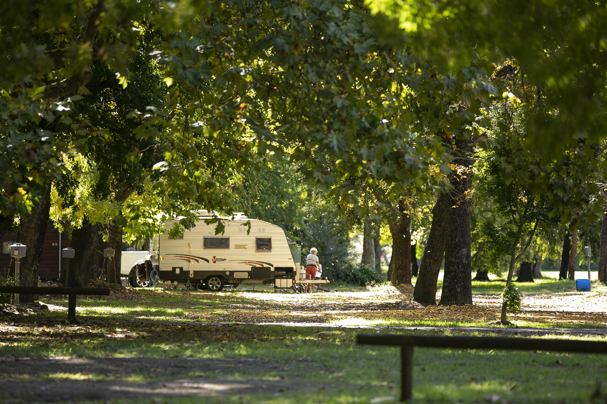 tawonga tourist park caravan in distance on grassed area surrounded by trees