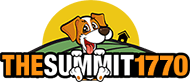 The Summit 1770 logo.